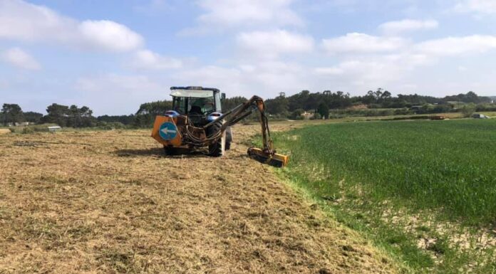 Junta da Serra D’El Rei adquire terreno para parque etnogáfico