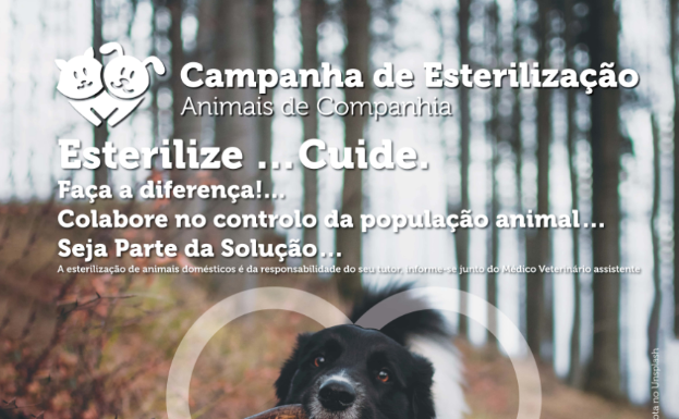 Alcobaça sensibiliza para esterilização de animais de companhia