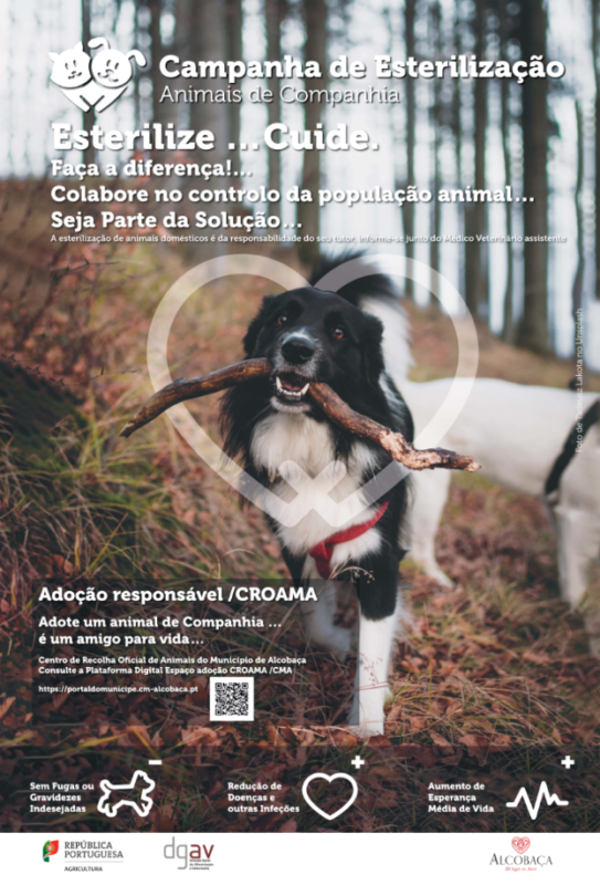 Alcobaça sensibiliza para esterilização de animais de companhia