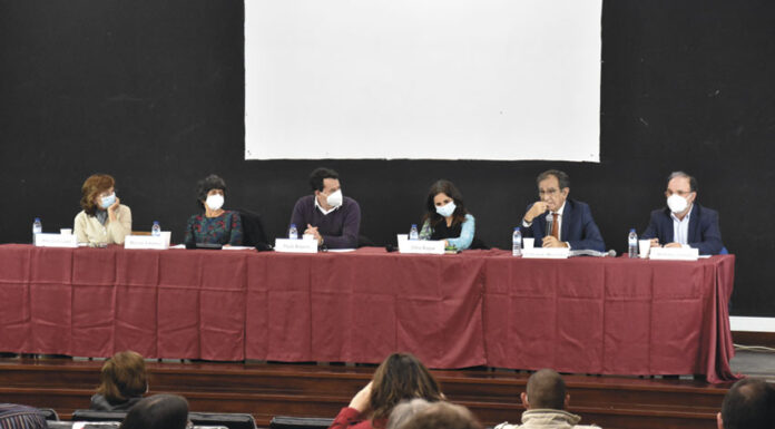 Políticas, rede social e parcerias são essenciais no combate à pobreza