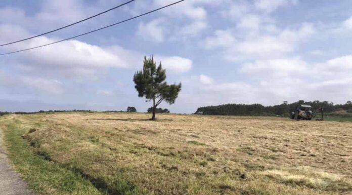 Serra D’El Rei ganha primeiro parque etnográfico da região