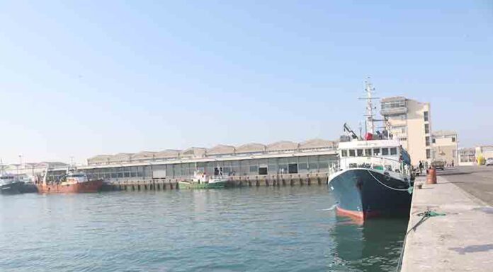 Politécnico de Leiria investiga potencial de fungos marinhos de Peniche