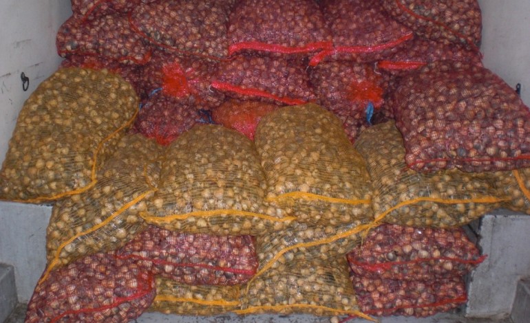 GNR apreende 390 quilos de bivalves nas Caldas