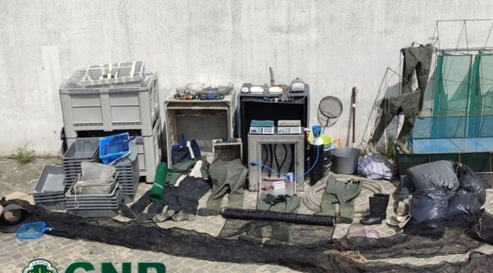 GNR faz apreensão de meixão na Nazaré