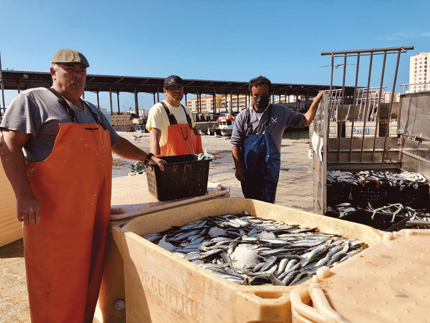 Retoma da pesca da sardinha dá esperança aos pescadores