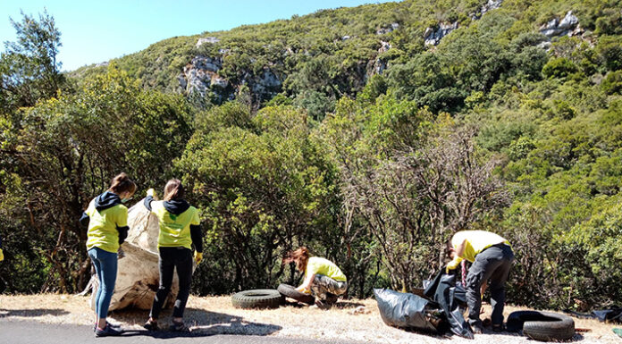 Nove dezenas participaram na ação para limpar Montejunto