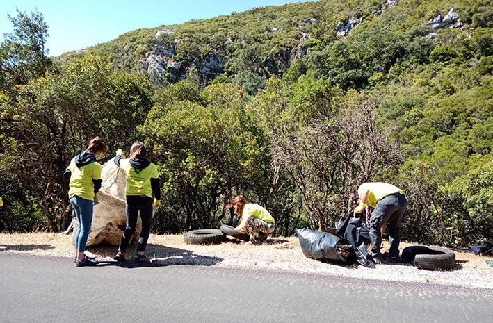 Nove dezenas participaram na ação para limpar Montejunto