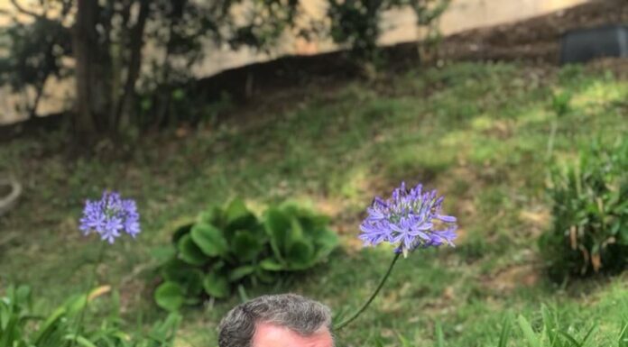 A-dos-Francos: Coligação Caldas Mais Rainha avança com Luís Noivo