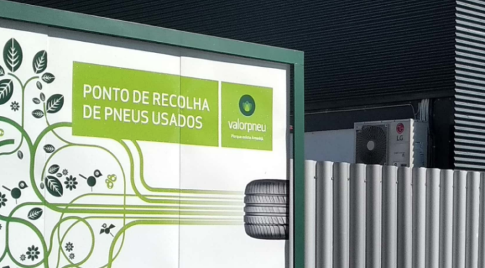 Região tem uma dezena de empresas no Top 5% PME nacional