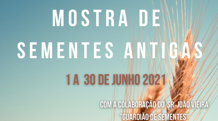 Moinho das Castanholas no Cadaval recebe mostra de sementes antigas