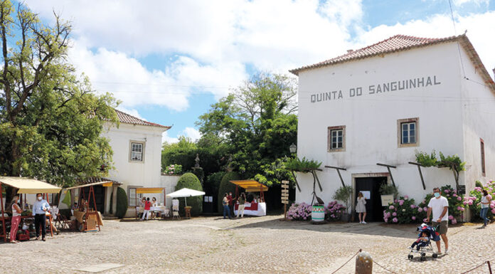 Quinta do Sanguinhal recebeu dezenas no dia aberto