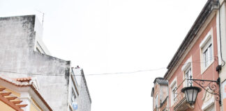 José Ramalho coordenou Gigantones