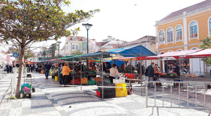 “Há fruta no Parque” quatro dias em agosto