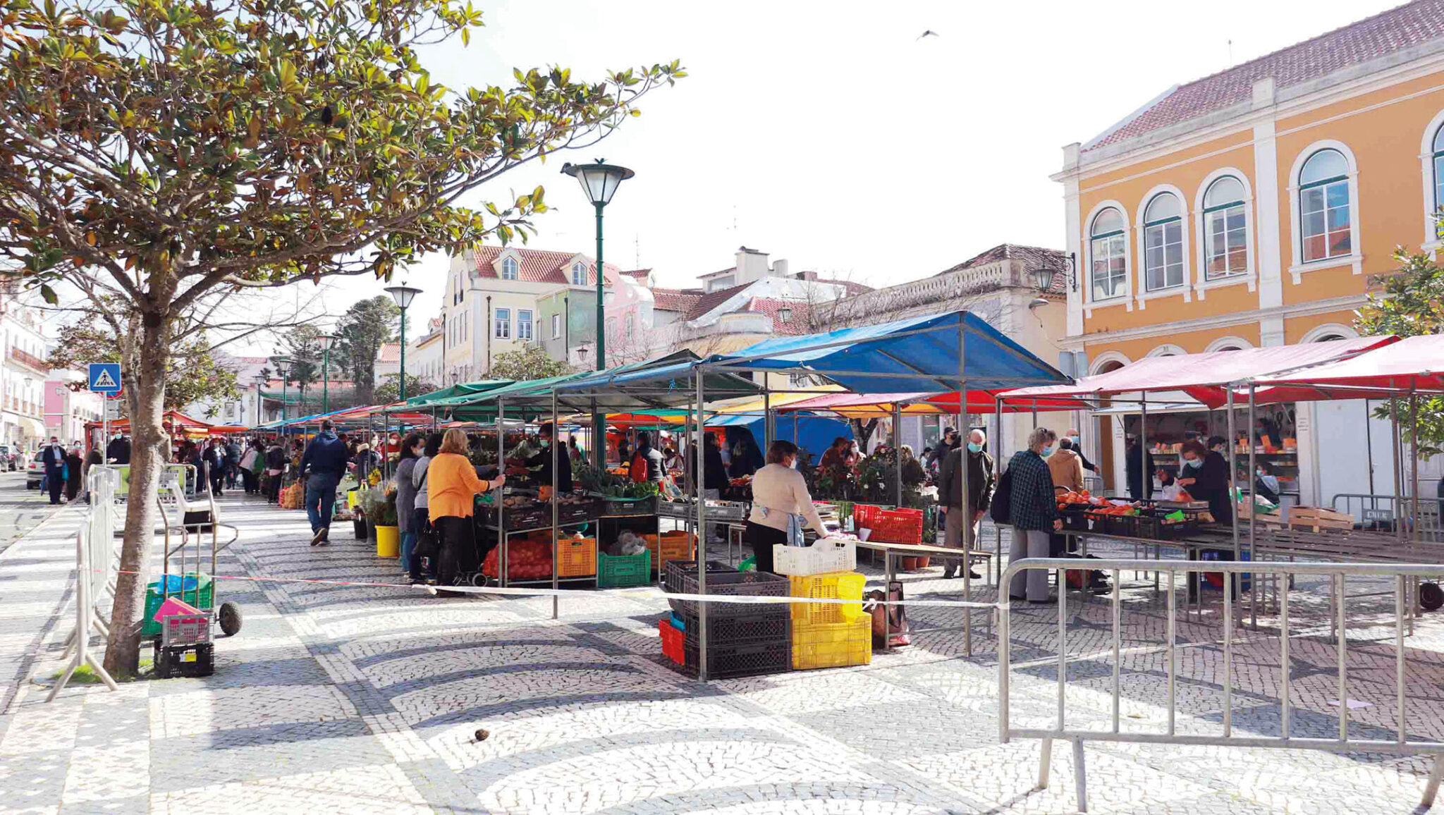 “Há fruta no Parque” quatro dias em agosto