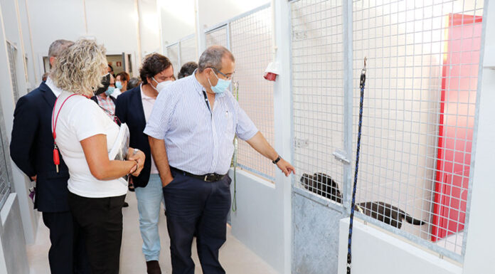 Bombarral e Cadaval já têm canil intermunicipal