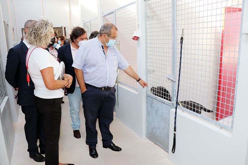 Bombarral e Cadaval já têm canil intermunicipal