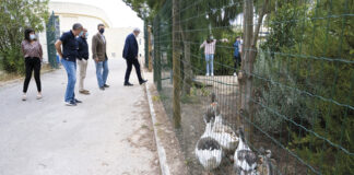 Caldas da Rainha: Parque Pedagógico já tem vedação
