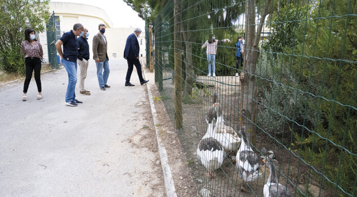 Caldas da Rainha: Parque Pedagógico já tem vedação