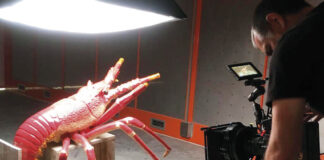 Filme sobre Bordallo Pinheiro premiado