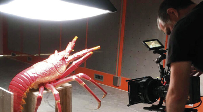 Filme sobre Bordallo Pinheiro premiado