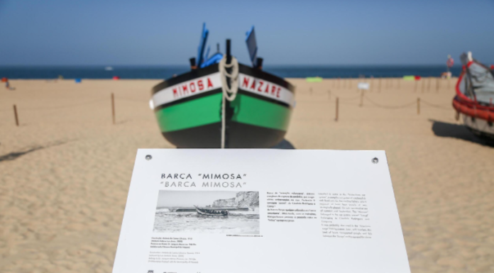 Barca Mimosa regressou à exposição no areal da Nazaré após processo de restauro