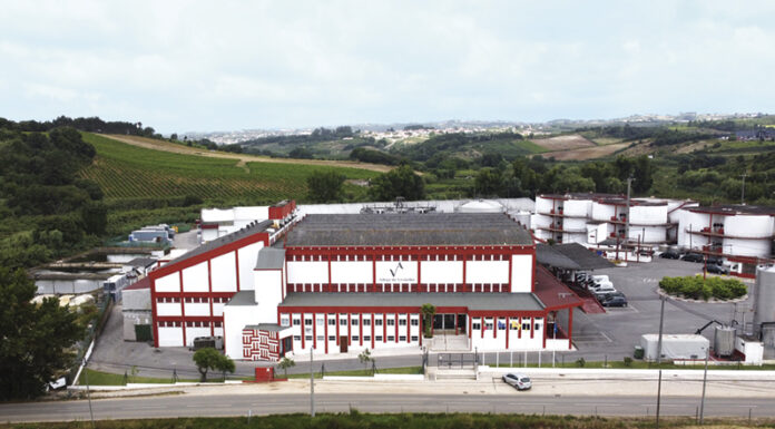 Adega da Vermelha aposta no enoturismo e provas online