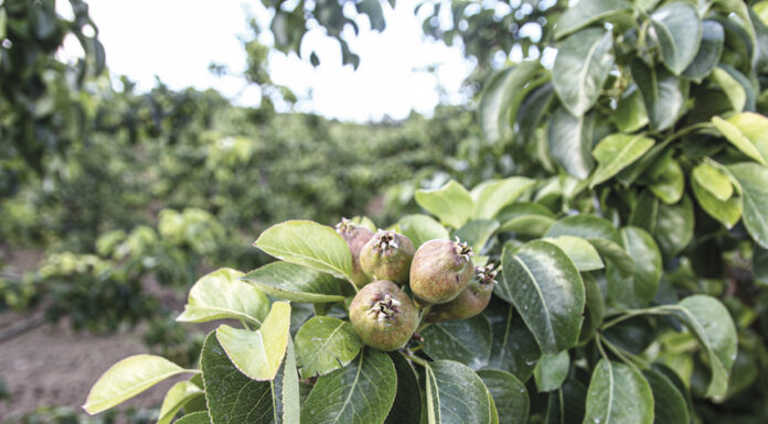 Formação: Academia Compal estende inscrições até 9 de agosto