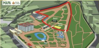 “Há fruta no Parque” recebe 750 visitantes em simultâneo