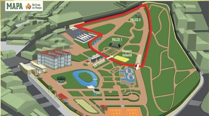 “Há fruta no Parque” recebe 750 visitantes em simultâneo