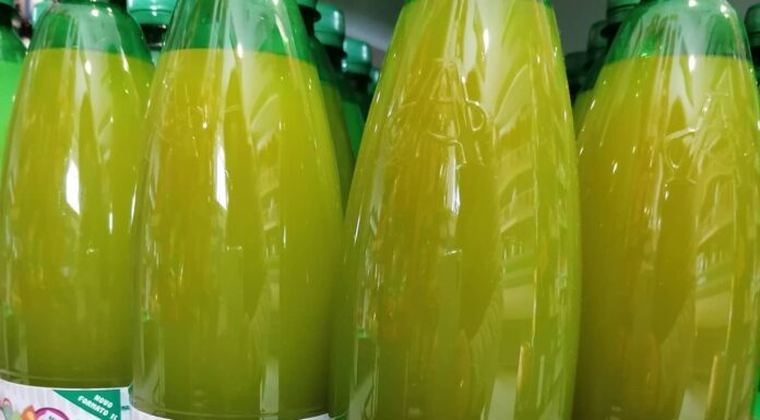 Concurso para promover Frutol Zero oferece bolsa de estudo