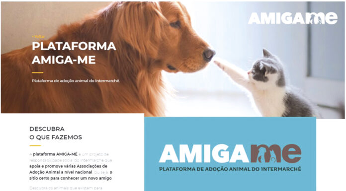 Intermarché lança campanha Amiga-me
