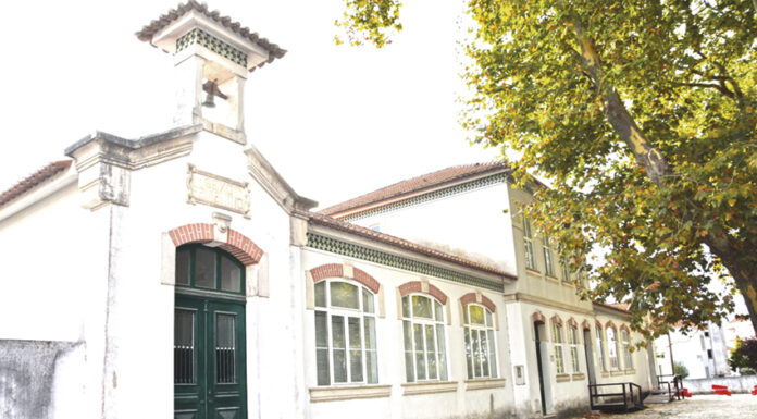 Aulas e atividades da ESAD estão de regresso à Escola do Parque