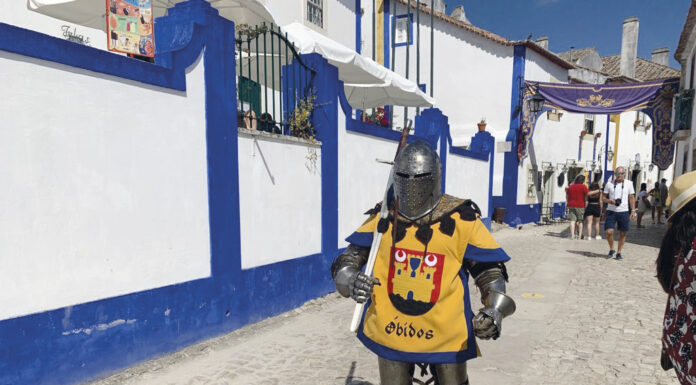 Orlando Silva recebeu cotas de armas