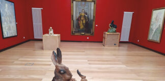 “Casulos” trazem ações às Caldas e Figueiró dos Vinhos