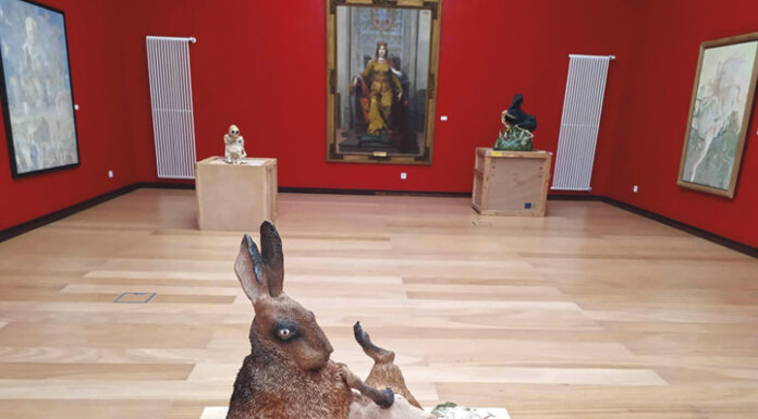 “Casulos” trazem ações às Caldas e Figueiró dos Vinhos