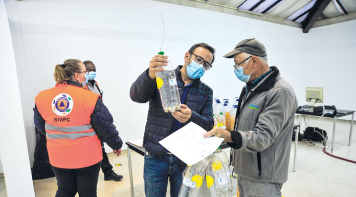 Proteção Civil das Caldas com resultados positivos no controlo da vespa asiática