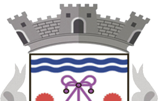 Nadadouro: PSD vence de forma confortável