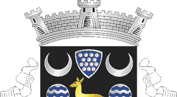 Olho Marinho: PSD vence sem maioria absoluta