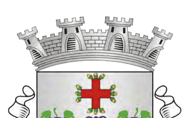 Salir de Matos: PSD salva maioria absoluta