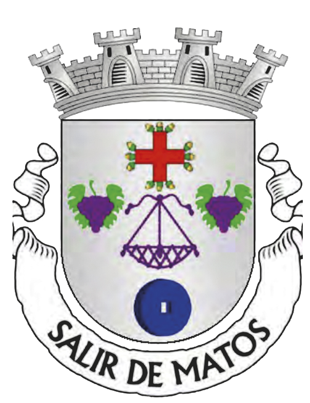 Salir de Matos: PSD salva maioria absoluta