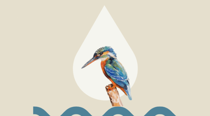 Lourambi lança projeto de monitorização de rios