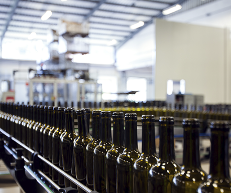 Vinhos: Parras Wines oferece 15 saltos de paraquedas