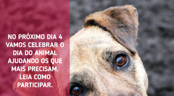 Avenal Petfood doou perto de 4 toneladas de ração no Dia do Animal