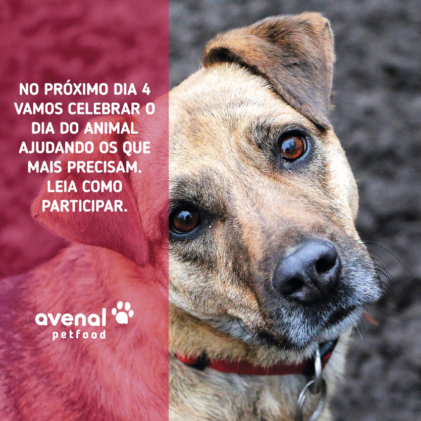 Avenal Petfood doou perto de 4 toneladas de ração no Dia do Animal