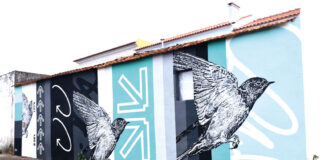 João Samina leva arte urbana a Cortém