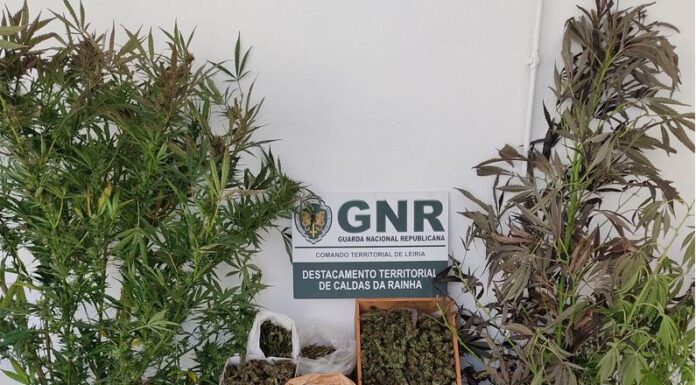 Dois detidos por tráfico de drogas nas Caldas da Rainha