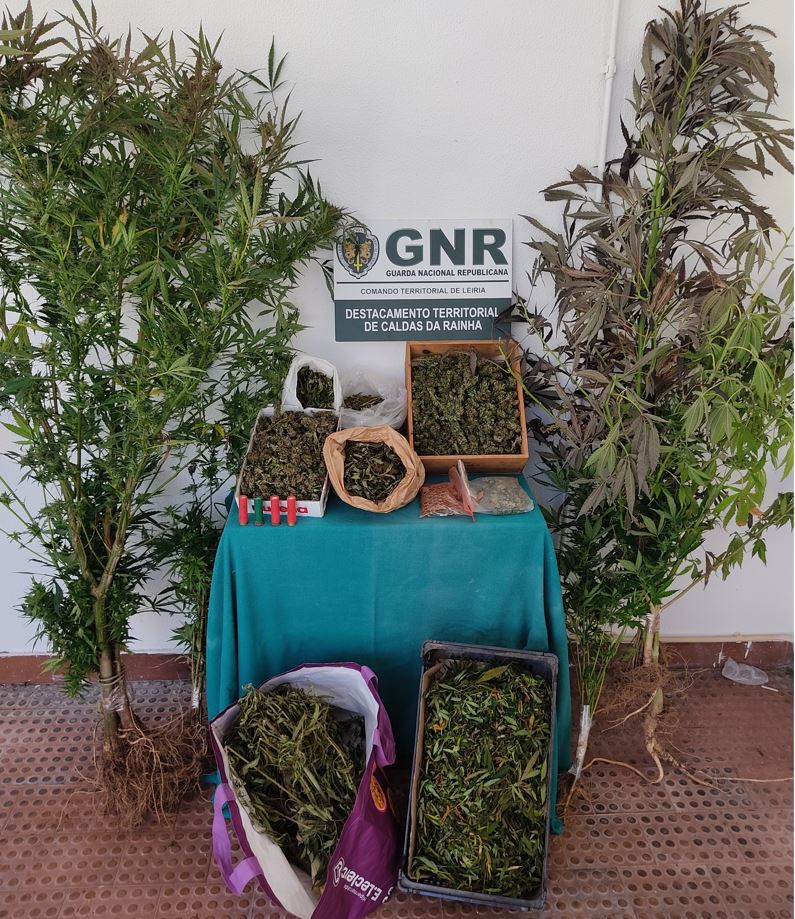 Dois detidos por tráfico de drogas nas Caldas da Rainha