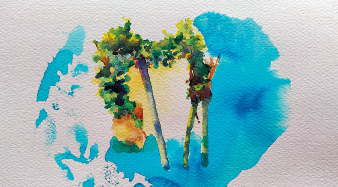 Bazuca poderá ajudar a combater assimetrias