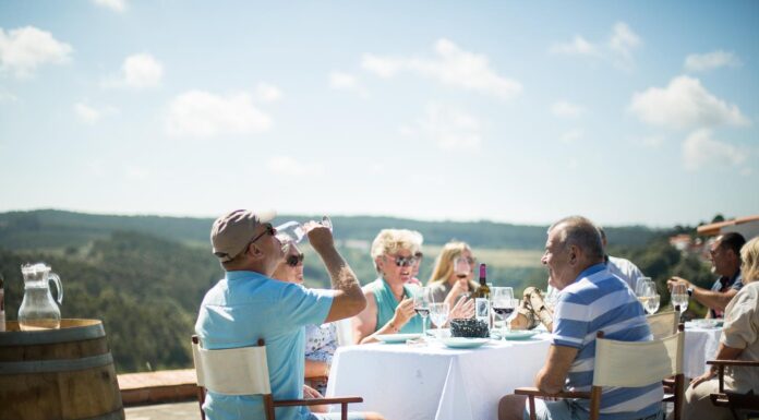 Degustar vinhos biológicos ao pôr-do-sol em Cortém