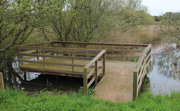 Dia Mundial das Zonas Húmidas celebrado no Paul de Tornada